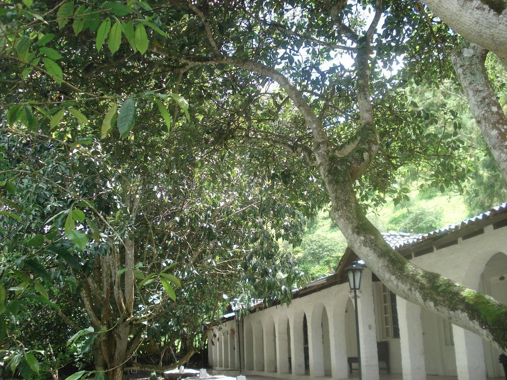 Hosteria La Eterna Primavera Huigra المظهر الخارجي الصورة