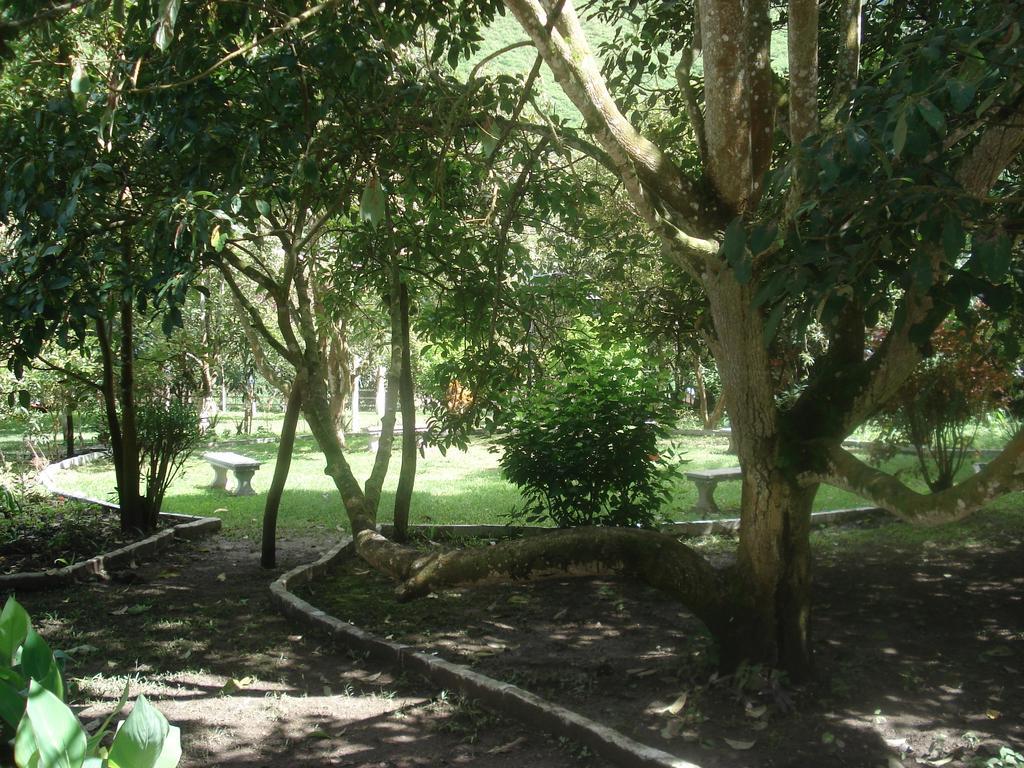 Hosteria La Eterna Primavera Huigra المظهر الخارجي الصورة